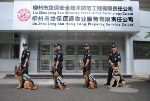 犬防风采2